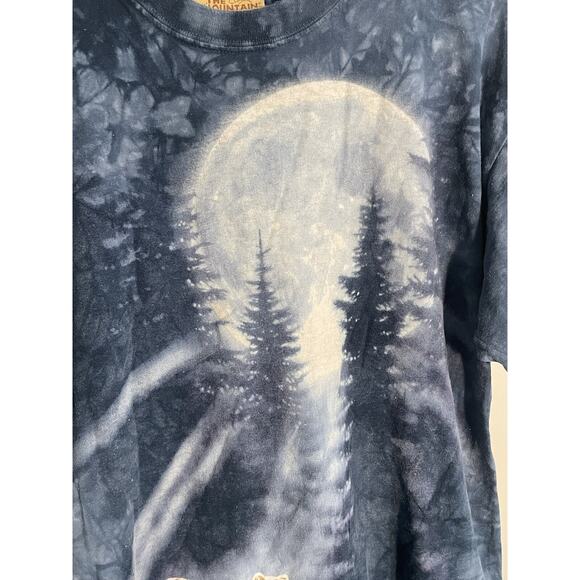 Vintage 2003 GRIZZLY BEAR MOON THE MOUNTAIN TIE-DYE T-Shirt LARGE Brown - Picture 3 of 9